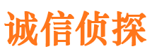 湘乡市调查公司